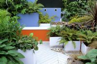 Foliage planting in painted MDF planters on timber decking in chic garden 