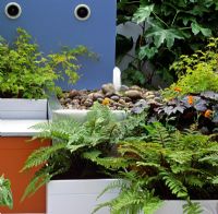 Water feature with pebbles and ferns in painted wooden planters in courtyard garden 
