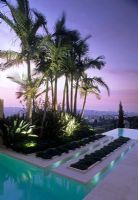 Uplights beneath palm trees beside infinity pool