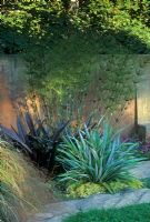Elegia capensis, Astelia chathamica AGM and Phormium in shady border against terracotta coloured boundary wall
