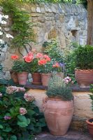 Terracotta pots on and beside wall in Mediterranean garden