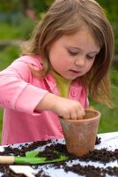 Little girl planting sunflower seeds