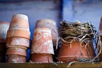 Empty terracotta pots in Victorian potting shed at RHS garden Harlow Carr