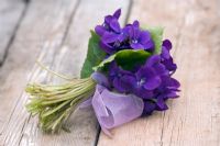 Viola bouquet