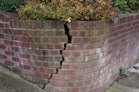 Crack in raised brick retaining wall in front garden