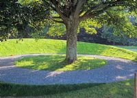 Turfed earth mound around Acer pseudoplatanus - Sycamore tree, Westonbirt Garden Festival