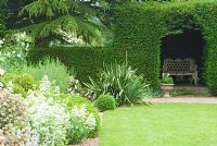 The Green Knight Garden planted with variations of white, silver and grey plants including Centranthus ruber 'Albus' and Stachys lanata with seat secreted inside the yew hedge at Cothay Manor, Somerset