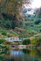 The Mallard Pond with the Hydrangea valley rising behind - Trebah, Mawnan Smith, nr Falmouth, Cornwall