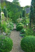 Gravel path running alongside converted stables with fastigiate yews and clipped box spheres either side interplanted with roses, Penstemons, Scabiosa and other herbaceous perennials - Dorset