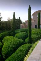 Formal cloud pruned Buxus with fastigiate Cypress trees by house - Madrid, Spain