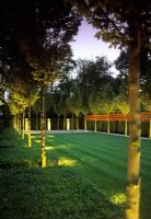 Large town back garden with striped lawn lined with avenue of clipped trees illuminated with uplights - Reddington Road, Hampstead, London