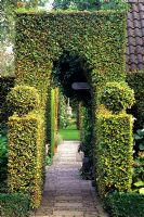 Archway thorough Fagus hedge