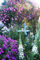 Rosa 'Seven Sisters' climbing over pergola with seat and ornamental bust underneath