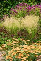 Perennial border combination with Deschampsia cespitosa 'Goldtau', Monarda 'Scorpion', Achillea 'Walther Funcke' and Astrantia