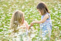 Mother and daughter in a daisy field. Little Girl holding a bunch of daisies.