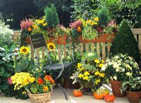 Balcony garden with mixed container plants and seat