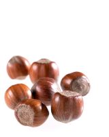 Corylus avellana - Hazelnuts