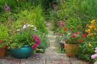 Paved patio with containers late summer - Duncan Skene's garden in Somerset