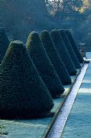 The Yew Allee, lined by spring-fed water rills in the formal Yew terrace at Parnham House, Dorset