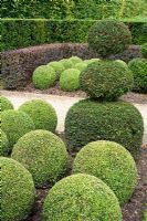 Clipped Buxus spheres and Cupressocyparis