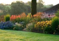 Border at dawn with Hemerocallis 'Corky', Kniphofia 'Tawny King' and 'Timothy', Calamagrostis 'Karl Foerster', Eryngium Bougatii 'Picos Blue' and Stipa tenuissima - Pettifers Garden, Oxfordshire