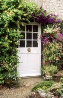 Cottage door with Lonicera and Clematis