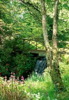 Wooden bridge across one of the many cascades built in the 18th century by Admiral Robert Digby, to create interest along the course of the River Cerne. Minterne Gardens, nr Dorchester, Dorset.