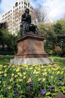 Statue of Robert Burns, the Scottish Poet -  Victoria Embankment gardens, Charing Cross, London with Spring bedding display of Primula and Narcissus
