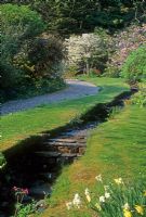 Path beside stream - An Cala, Dumfries, Scotland