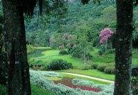 View from above of tropical garden - Fazenda Marambaia, Petropolis, Brazil