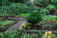 Small public garden area in Funchal, Madeira with Cycas, Sago Palm, Impatiens, Datura candida and Cymbidium 