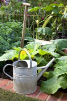 Galvanised watering can and old wooden spade in a vegetable plot with courgettes at the RHS Chelsea Flower Show 2008. 
Garden - From Life to Life Garden, Design - Yvonne Innes and Olivia Harrison, Sponsor - The Material World Charitable Foundation, 