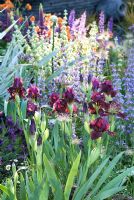 The Bupa Garden - Chelsea Flower Show 2008, Gold Medal Winners