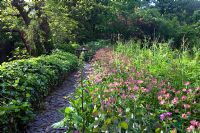 Slate path edged by borders of Ivy Hedera, Astrantia major and Cirsium rivulare leading to seating area