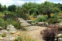 Californian style garden landscape - The Desert Wash Garden, The Old Vicarage, East Ruston, Norfolk