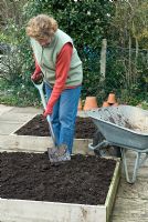 Woman digging organic compost into raised beds