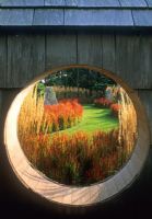 Imperata cylindrica 'Rubra' viewed through a 'moongate' in cedar shingle fence