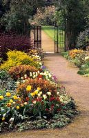 Entrance borders with gravel path and view through to wrought iron gates. Planting of Tulipa 'Golden Melody', Tulipa 'Spring Green' with golden Philadelphus - Parham, Sussex