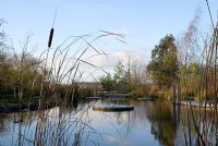Natural swimming pool with mill stone fountain and Typha latifolia in November