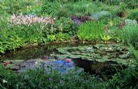 Garden Pond with mixed planting - Glen Chantry, Essex