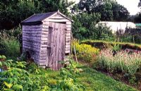 Rickety old wooden shed in local allotments 
Passfield, Hampshire
