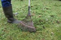 Raking up grass clippings with a lawn rake