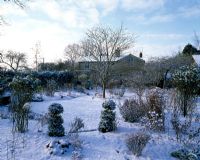 View to the house with the garden in snow - Woodchippings, Northamptonshire