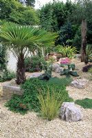Gravel garden with mixed planting