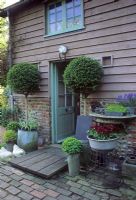 Back door surrounded by containers and lollipop trees - The Kitchen Garden, Suffolk