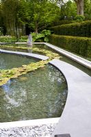 Water garden with curved stone path - The Daily Telegraph Garden, Design - Arabella Lennox-Boyd, Sponsor - The Daily Telegraph, Gold medal winner