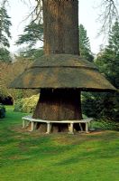 Tree seat with unusual thatched roof