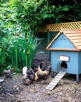 Decorative chicken house