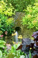 Stone water feature with Euphorbia stygiana, Euphorbia mellifera and Primula hybrids - Hunmanby Grange, Yorkshire