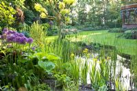 Garden pond surrounded by mixed aquatic plants